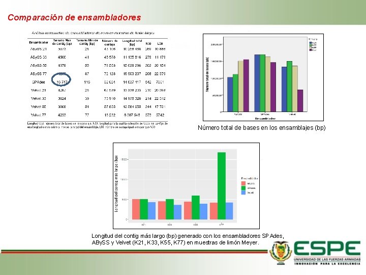 Comparación de ensambladores Número total de bases en los ensamblajes (bp) Longitud del contig