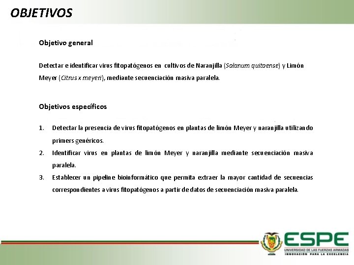 OBJETIVOS Objetivo general Detectar e identificar virus fitopatógenos en cultivos de Naranjilla (Solanum quitoense)