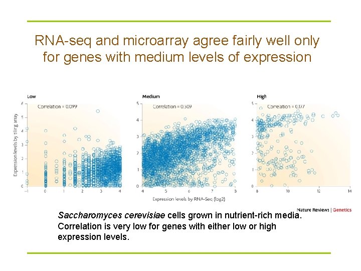 Computational approaches to the analysis of RNAseq data