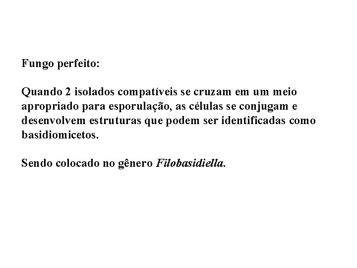 Fungo perfeito: Quando 2 isolados compatíveis se cruzam em um meio apropriado para esporulação,