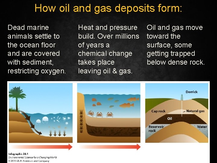 How oil and gas deposits form: Dead marine animals settle to the ocean floor