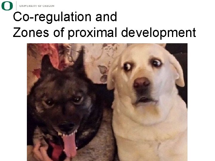 Co-regulation and Zones of proximal development 