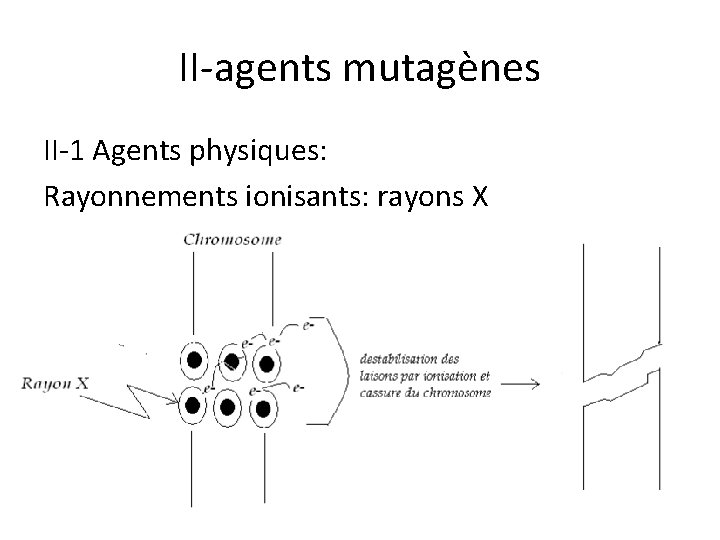 II-agents mutagènes II-1 Agents physiques: Rayonnements ionisants: rayons X 