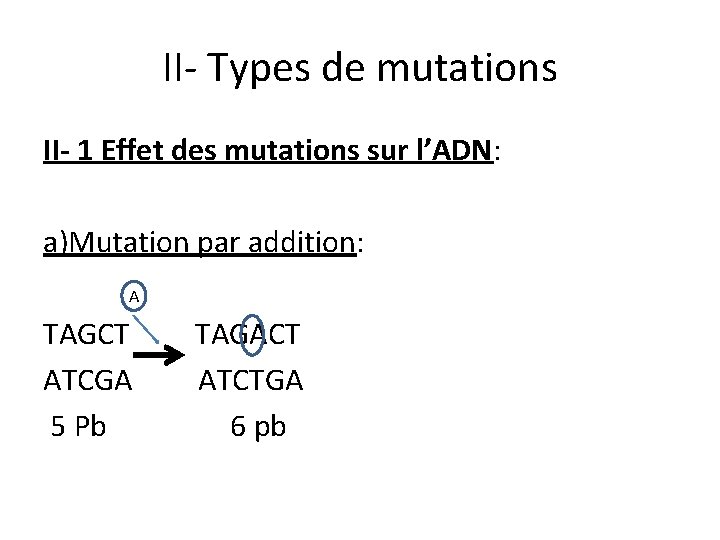 II- Types de mutations II- 1 Effet des mutations sur l’ADN: a)Mutation par addition: