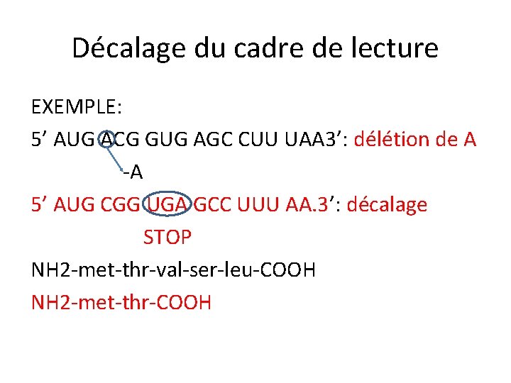 Décalage du cadre de lecture EXEMPLE: 5’ AUG ACG GUG AGC CUU UAA 3’: