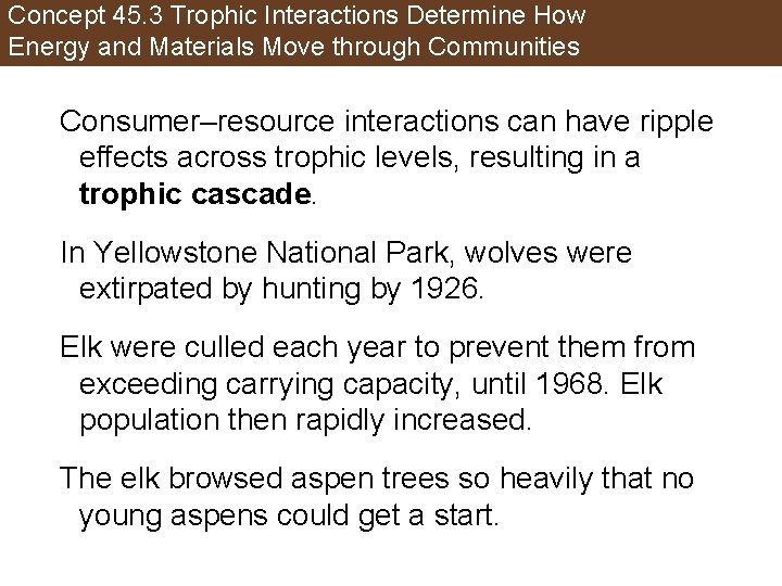 Concept 45. 3 Trophic Interactions Determine How Energy and Materials Move through Communities Consumer–resource