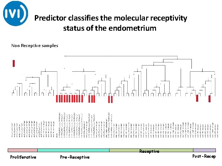 Predictor classifies the molecular receptivity status of the endometrium Non Receptive samples. Proliferative Pre-Receptive