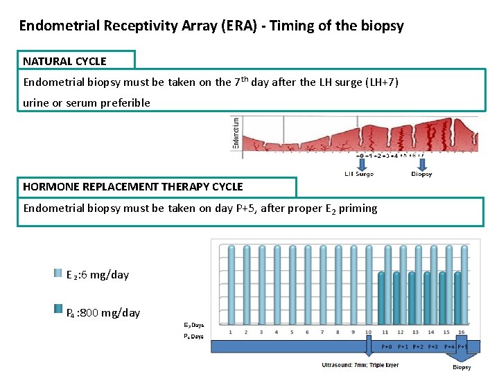 Endometrial Receptivity Array (ERA) - Timing of the biopsy NATURAL CYCLE Endometrial biopsy must