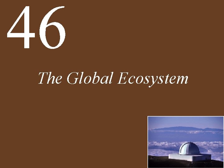 46 The Global Ecosystem 