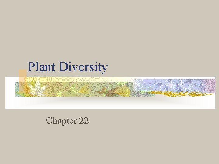 Plant Diversity Chapter 22 