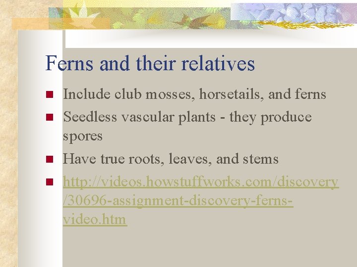 Ferns and their relatives n n Include club mosses, horsetails, and ferns Seedless vascular