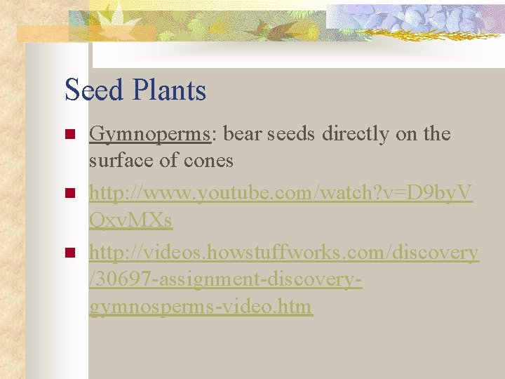 Seed Plants n n n Gymnoperms: bear seeds directly on the surface of cones