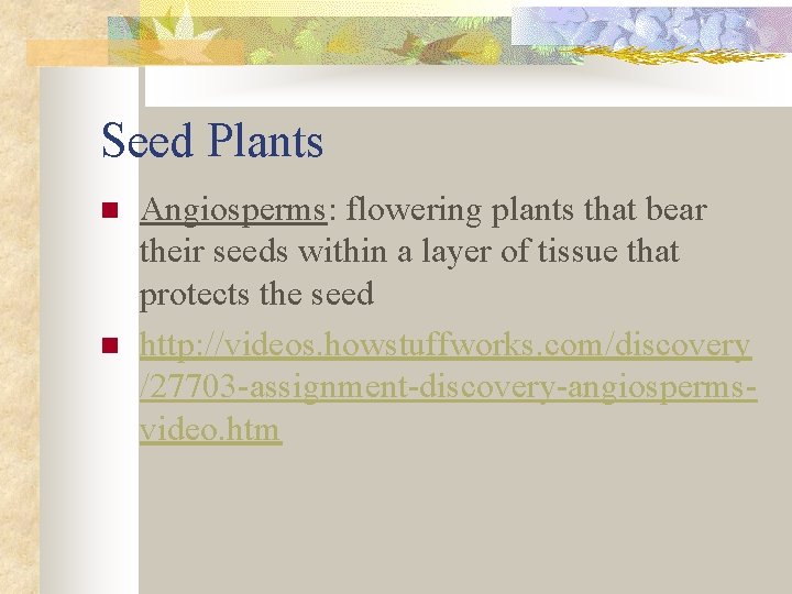 Seed Plants n n Angiosperms: flowering plants that bear their seeds within a layer