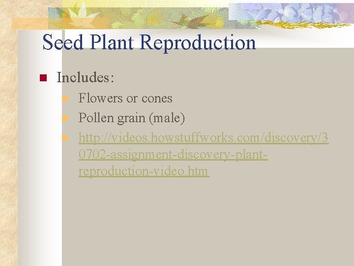 Seed Plant Reproduction n Includes: n n n Flowers or cones Pollen grain (male)