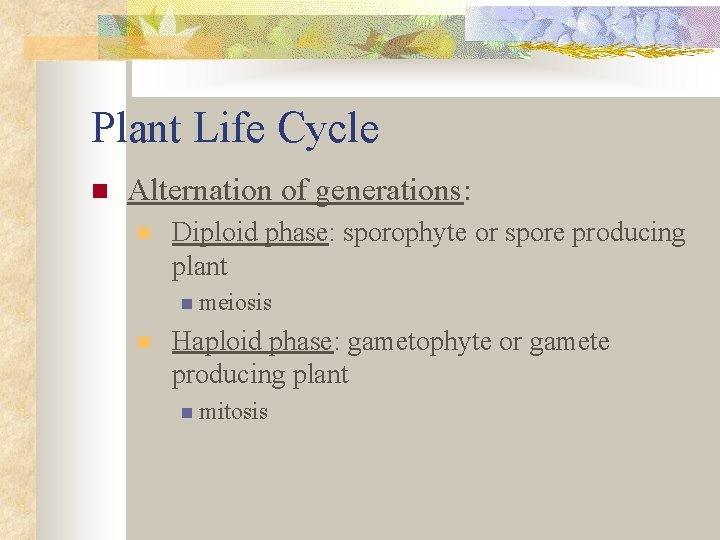 Plant Life Cycle n Alternation of generations: n Diploid phase: sporophyte or spore producing