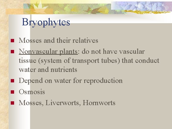 Bryophytes n n n Mosses and their relatives Nonvascular plants: do not have vascular