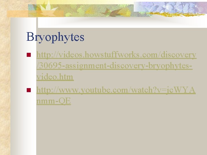 Bryophytes n n http: //videos. howstuffworks. com/discovery /30695 -assignment-discovery-bryophytesvideo. htm http: //www. youtube. com/watch?