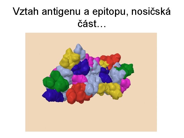 Vztah antigenu a epitopu, nosičská část… 