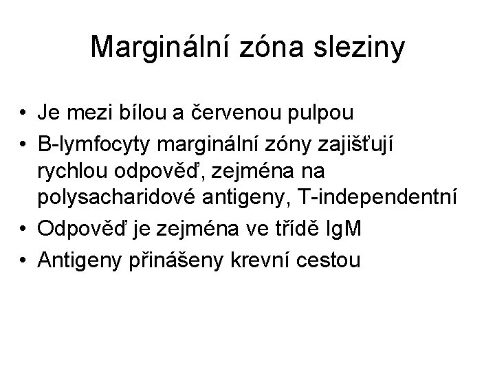 Marginální zóna sleziny • Je mezi bílou a červenou pulpou • B-lymfocyty marginální zóny