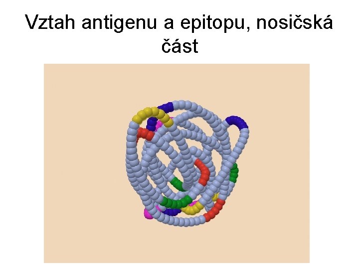 Vztah antigenu a epitopu, nosičská část 