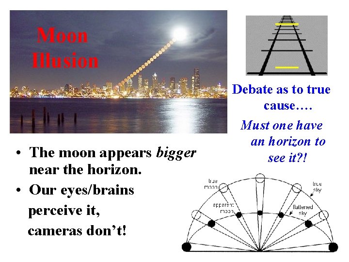 Moon Illusion • The moon appears bigger near the horizon. • Our eyes/brains perceive