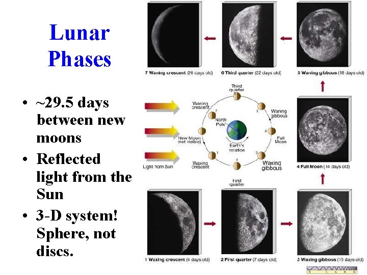 Lunar Phases • ~29. 5 days between new moons • Reflected light from the