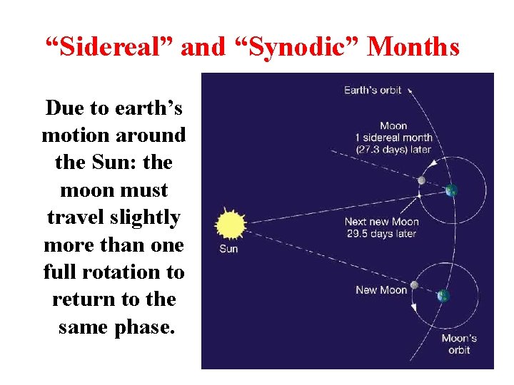 “Sidereal” and “Synodic” Months Due to earth’s motion around the Sun: the moon must