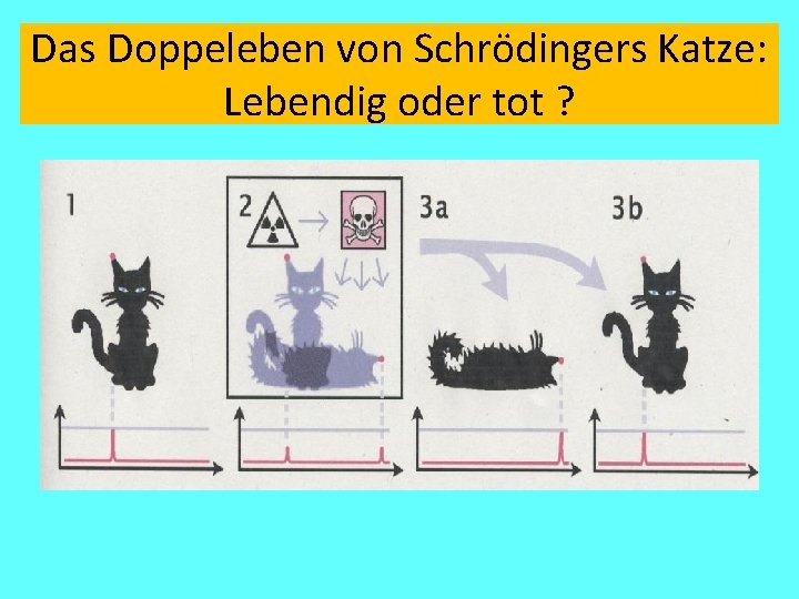 Das Doppeleben von Schrödingers Katze: Lebendig oder tot ? Das Doppeleben von Schrödingers Katze: Lebendig oder tot ?