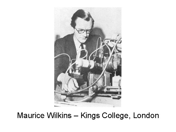 Maurice Wilkins – Kings College, London 