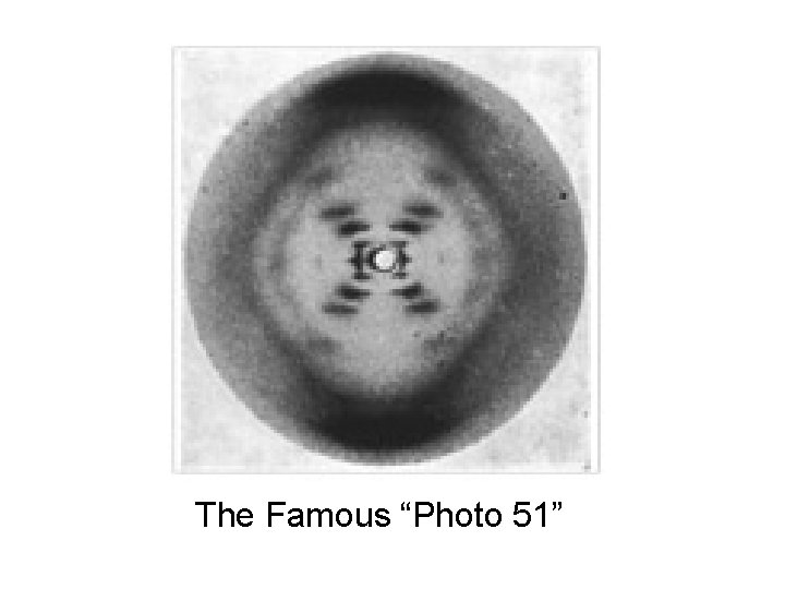 The Famous “Photo 51” 