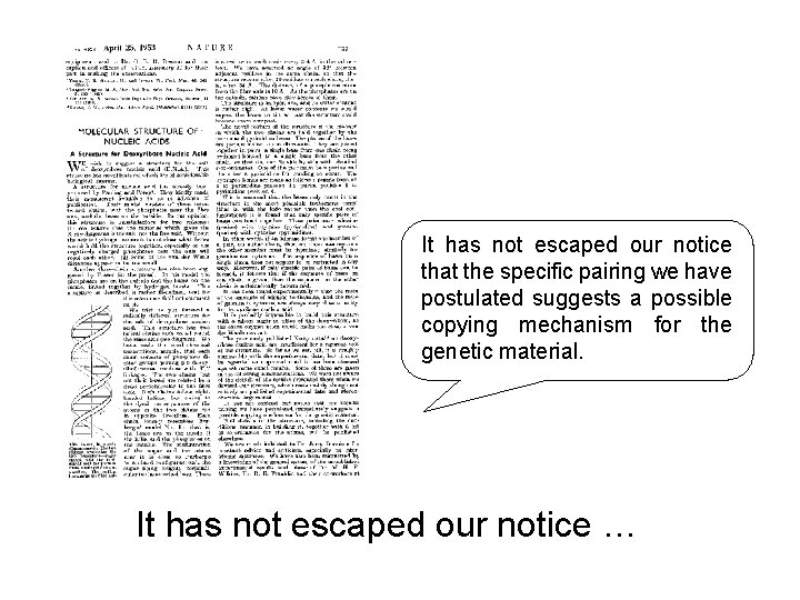 It has not escaped our notice that the specific pairing we have postulated suggests