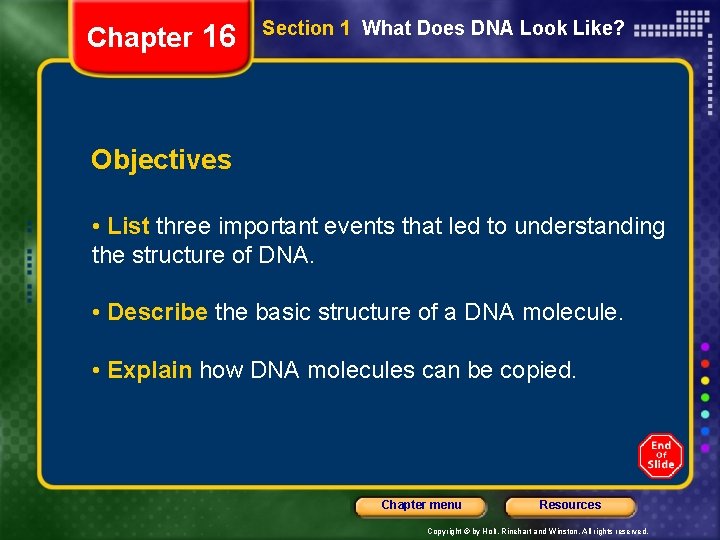 Chapter 16 Section 1 What Does DNA Look Like? Objectives • List three important