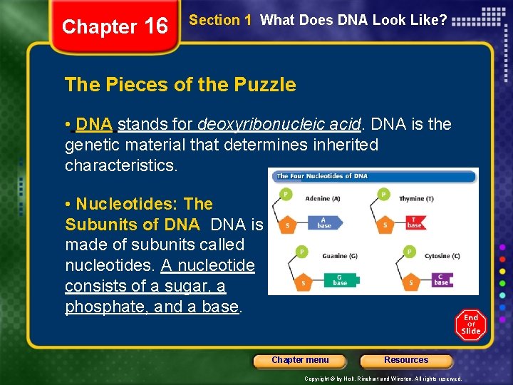 Chapter 16 Section 1 What Does DNA Look Like? The Pieces of the Puzzle