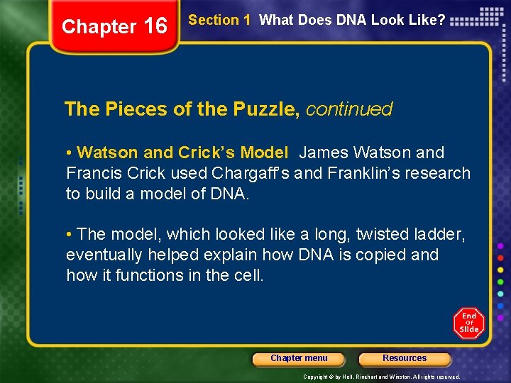 Chapter 16 Section 1 What Does DNA Look Like? The Pieces of the Puzzle,