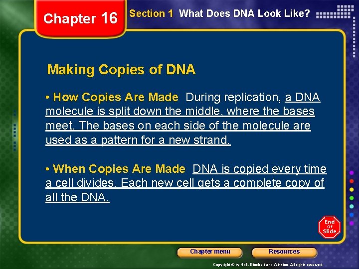 Chapter 16 Section 1 What Does DNA Look Like? Making Copies of DNA •