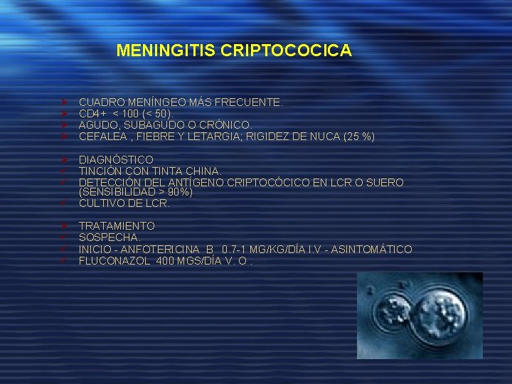 MENINGITIS CRIPTOCOCICA Ø Ø CUADRO MENÍNGEO MÁS FRECUENTE. CD 4+ < 100 (< 50).