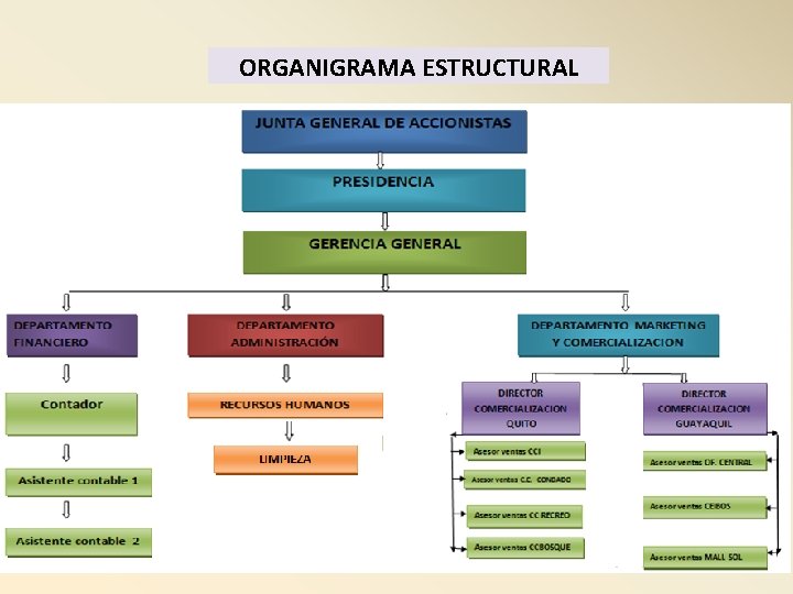 ORGANIGRAMA ESTRUCTURAL 