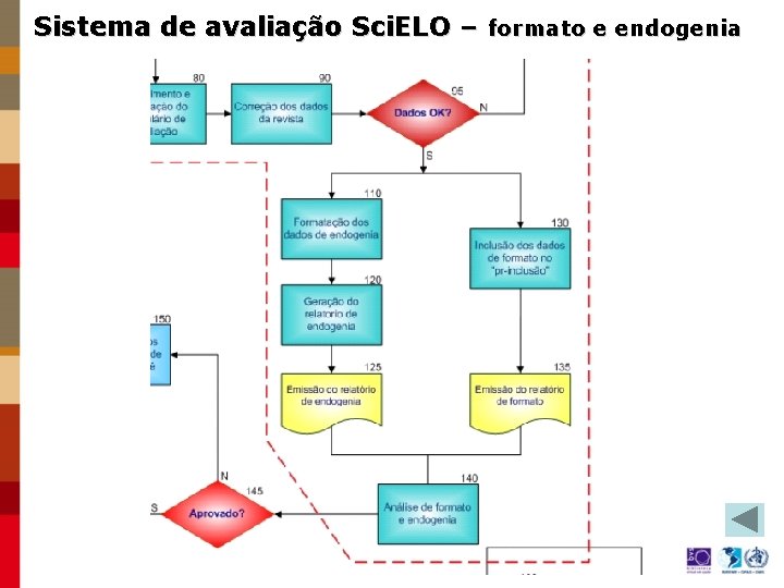 Sistema de avaliação Sci. ELO – formato e endogenia 