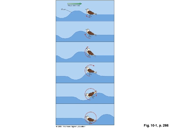 Fig. 10 -1, p. 266 Fig. 10 -1, p. 266