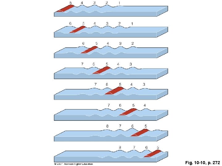 Fig. 10 -10, p. 272 Fig. 10 -10, p. 272
