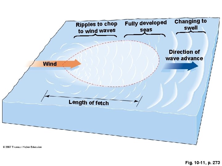 Ripples to chop to wind waves Fully developed seas Changing to swell Direction of Ripples to chop to wind waves Fully developed seas Changing to swell Direction of