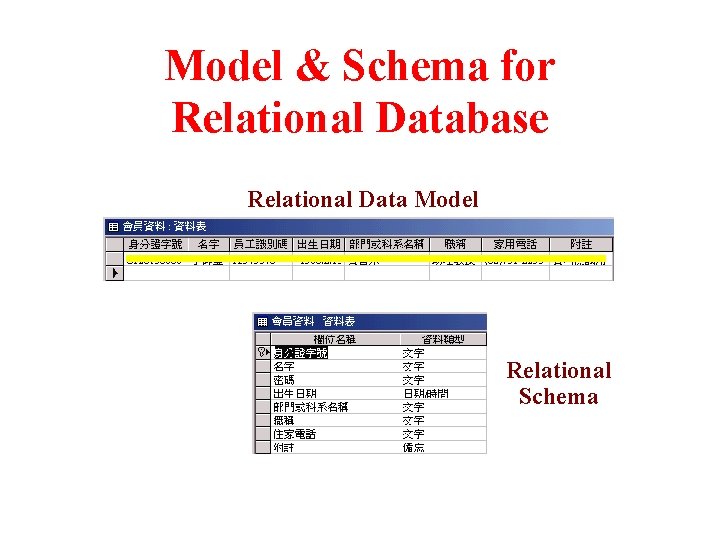 Model & Schema for Relational Database Relational Data Model Relational Schema 