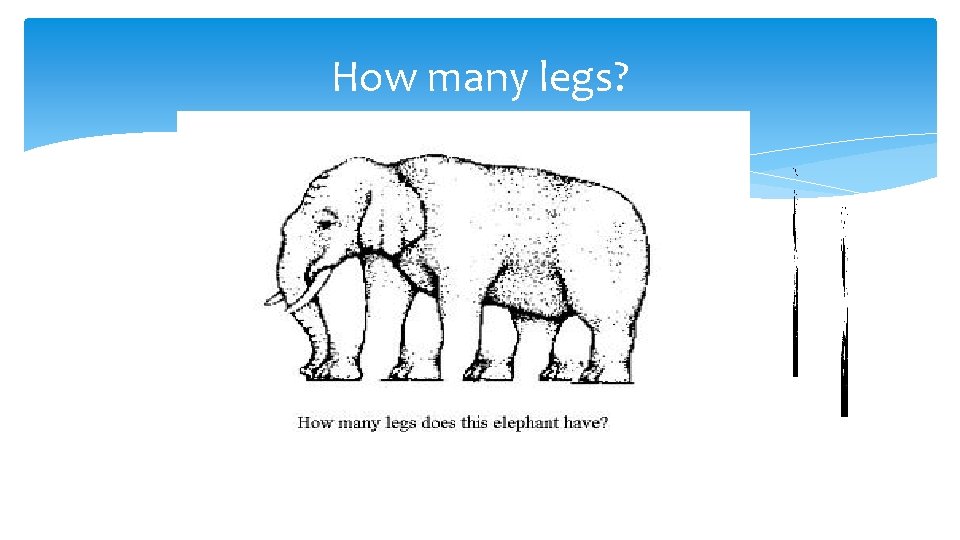 How many legs? 