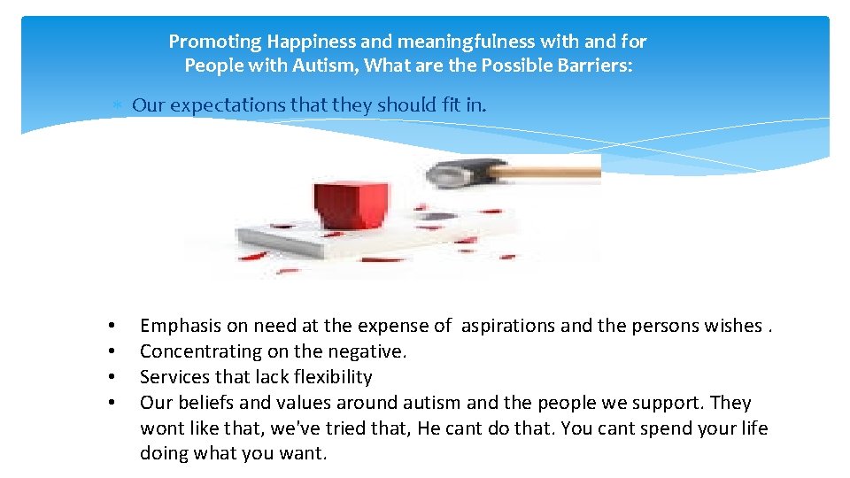Promoting Happiness and meaningfulness with and for People with Autism, What are the Possible