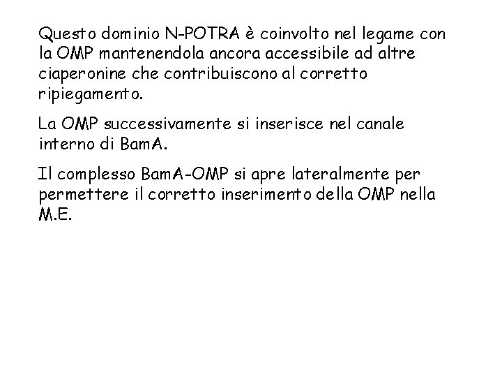 Questo dominio N-POTRA è coinvolto nel legame con la OMP mantenendola ancora accessibile ad