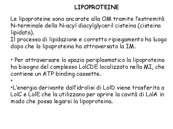 LIPOPROTEINE Le lipoproteine sono ancorate alla OM tramite l’estremità N-terminale della N-acyl diacylglyceril cisteina LIPOPROTEINE Le lipoproteine sono ancorate alla OM tramite l’estremità N-terminale della N-acyl diacylglyceril cisteina