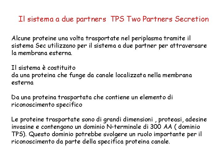 Il sistema a due partners TPS Two Partners Secretion Alcune proteine una volta trasportate