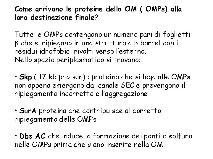 Come arrivano le proteine della OM ( OMPs) alla loro destinazione finale? Tutte le