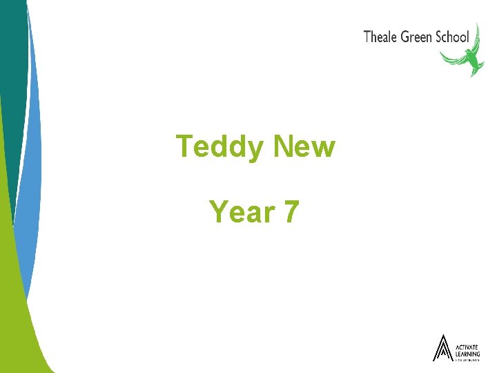 Teddy New Year 7 