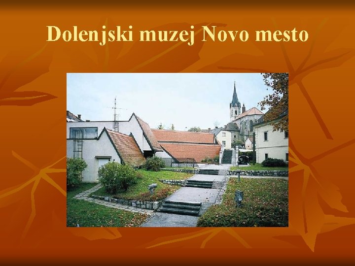 Dolenjski muzej Novo mesto 